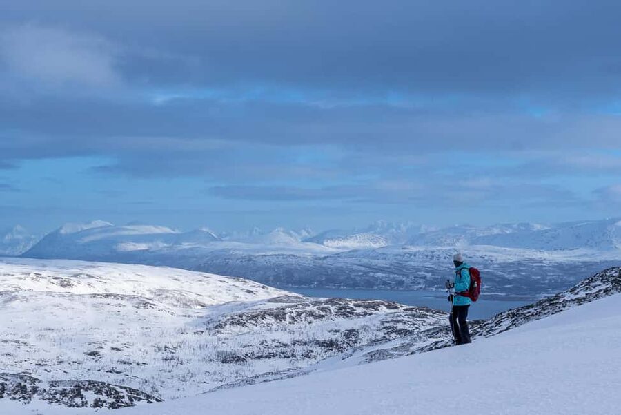 From Tromsø: Snowshoe Hike with Local Guides - Two to two and a half hours in the Arctic quiet