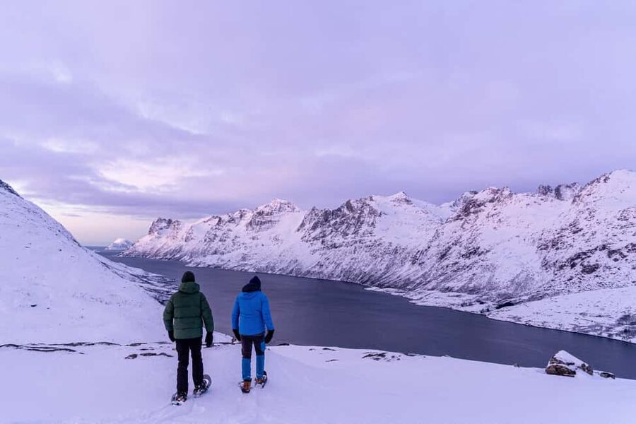 From Tromsø: Snowshoe Hike with Local Guides - Photos that solve a common Arctic problem