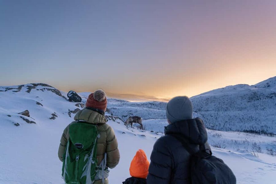 From Tromsø: Snowshoe Hike with Local Guides - Meeting at Scandic The Dock