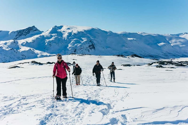 From Tromsø: Snowshoeing Hike with Picnic Lunch and Photos - Key points to know before you book