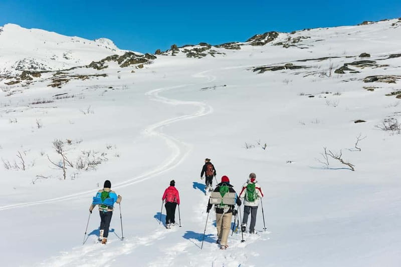 From Tromsø: Snowshoeing Hike with Picnic Lunch and Photos - A picnic with sandwiches and hot drinks