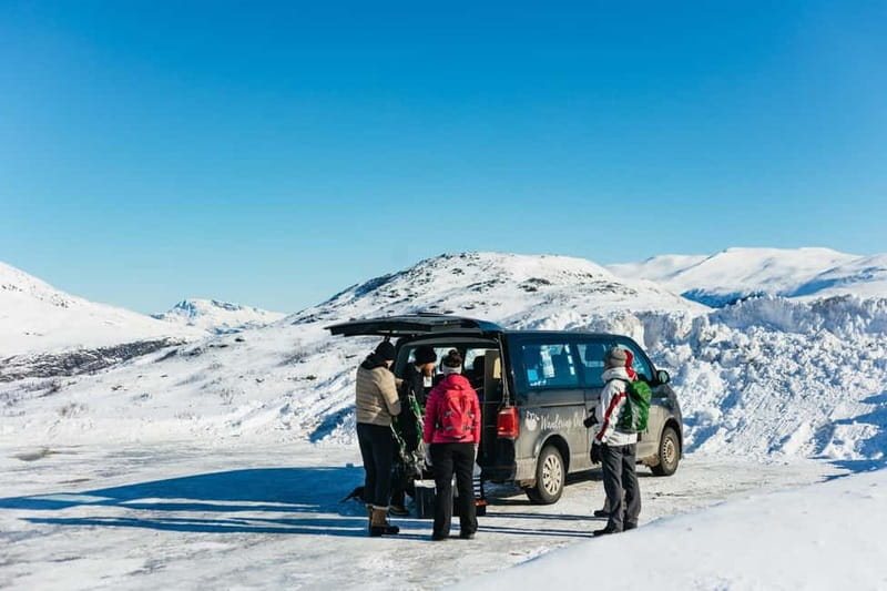 From Tromsø: Snowshoeing Hike with Picnic Lunch and Photos - What the guide adds to the experience