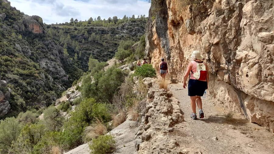 From Valencia: Peña Cortada Private Hiking Day Tour - Following the Ruta del Agua through rock and woodland