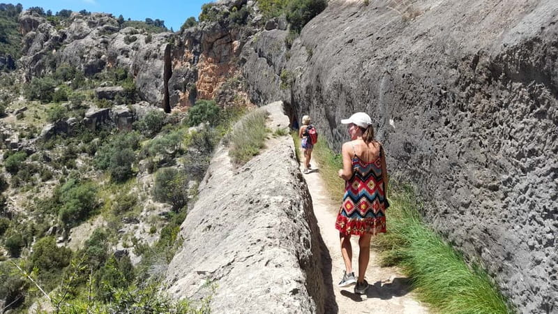 From Valencia: Peña Cortada Private Hiking Day Tour - The morning transfer from Valencia to Chelva