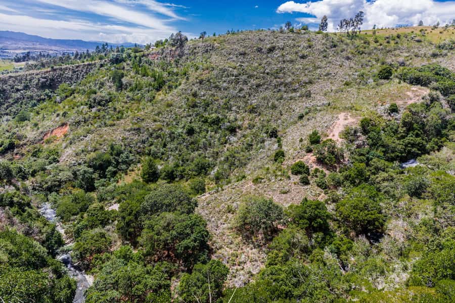 From Villa de Leyva: La Periquera Hiking Tour - From Villa de Leyva Streets to La Periquera’s Green Trails
