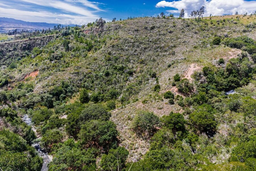 From Villa de Leyva: La Periquera Hiking Tour - Who Will Enjoy La Periquera Most?
