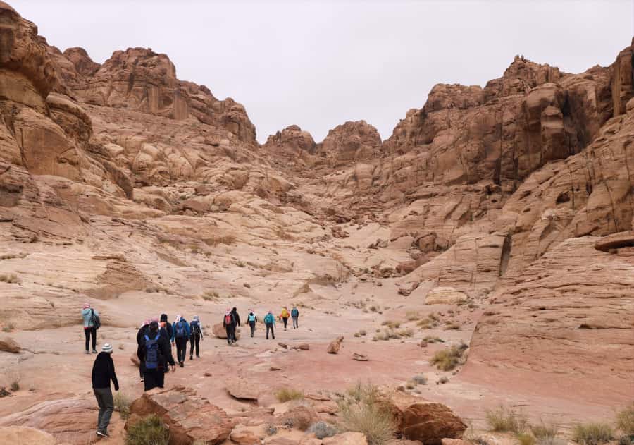 From Wadi Rum: 2-Day Hiking Adventure and Jeep Tour - Why this Wadi Rum trip feels different