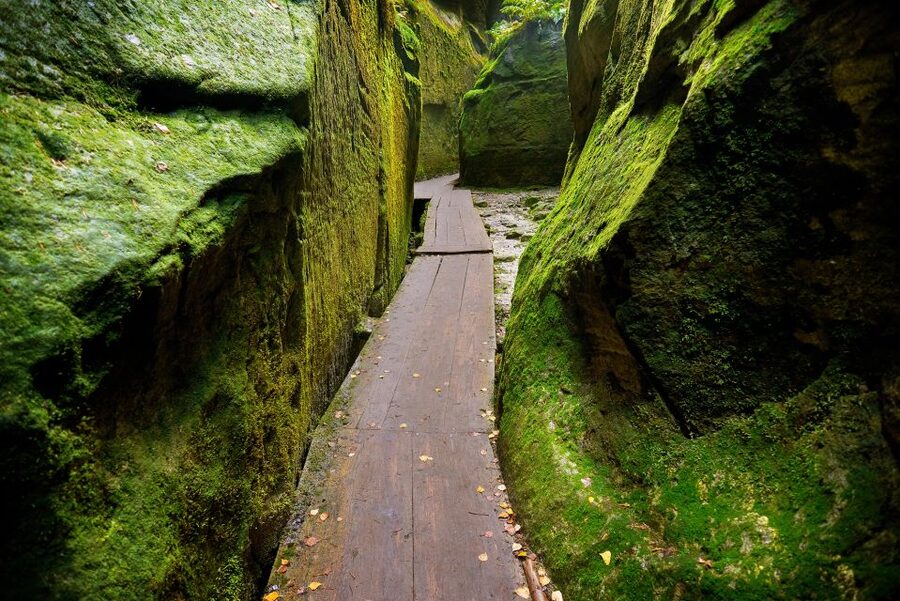 From Wroclaw: Hiking Trail in Rock City Adrspach - Climbing for the wide view