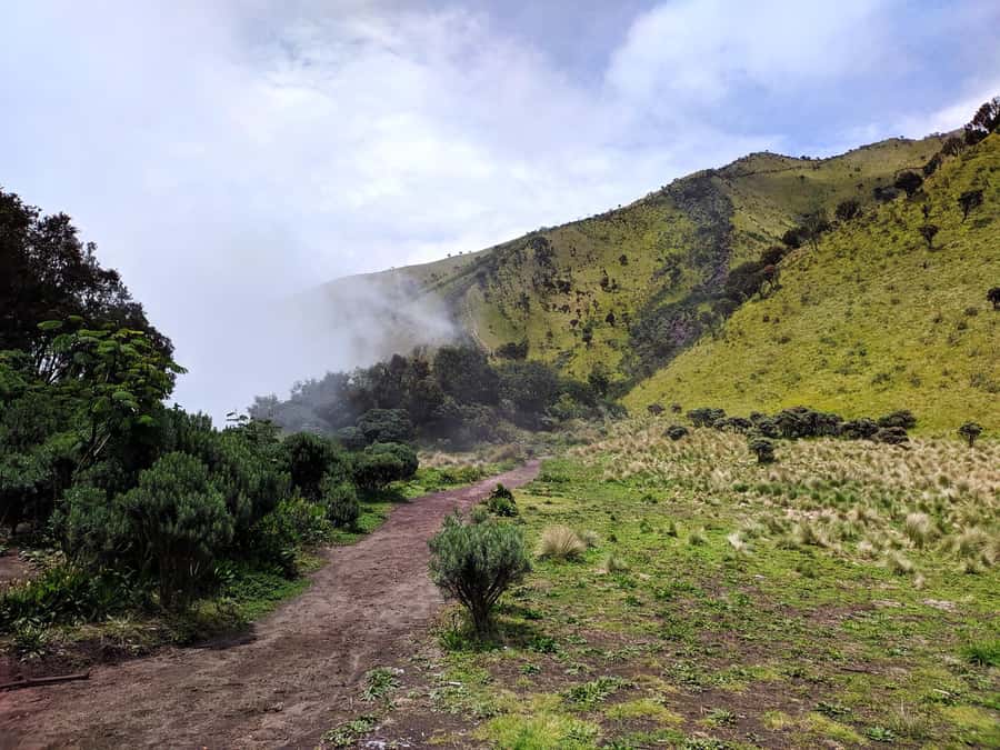 From Yogyakarta: Mount Merbabu One Day Hiking Tour - Reaching the 3,142-meter summit