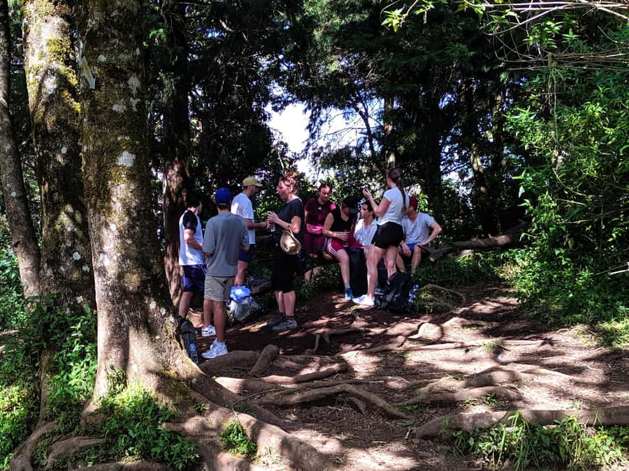 From Yogyakarta: Mount Merbabu One Day Hiking Tour - The four-hour return to basecamp