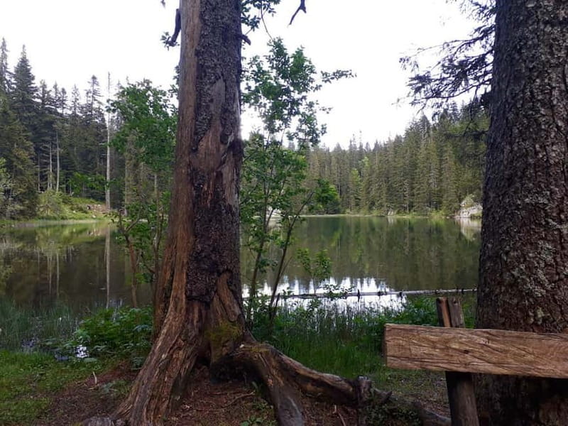 From Žabljak: Durmitor National Park Private Hiking Tour - From Njegoševa Street to Black Lake