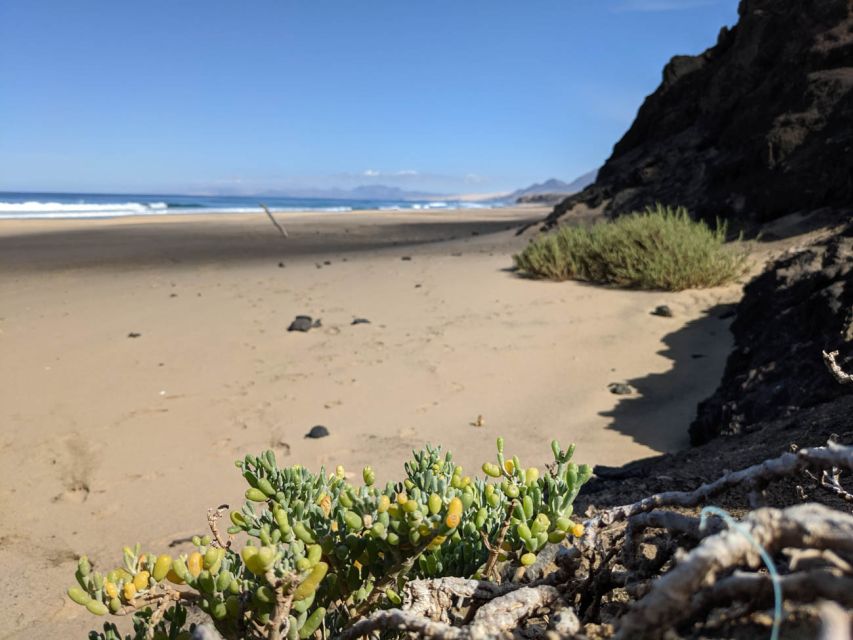 Fuerteventura: COFETE HIKING TOUR: Pick up in the SOUTH - Small-group value at $81