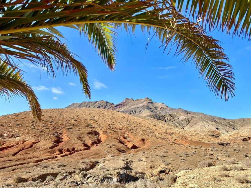 Fuerteventura: Hiking on the sacred mountain El Cardon - Key points at a glance