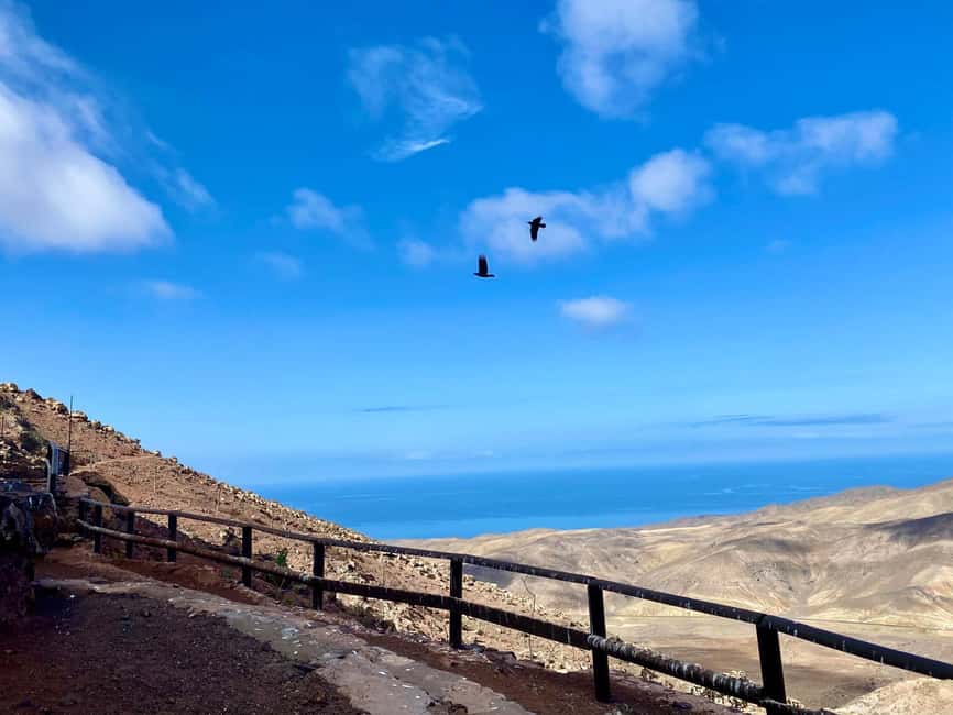 Fuerteventura: Hiking on the sacred mountain El Cardon - Stories of springs, bones, and early island life