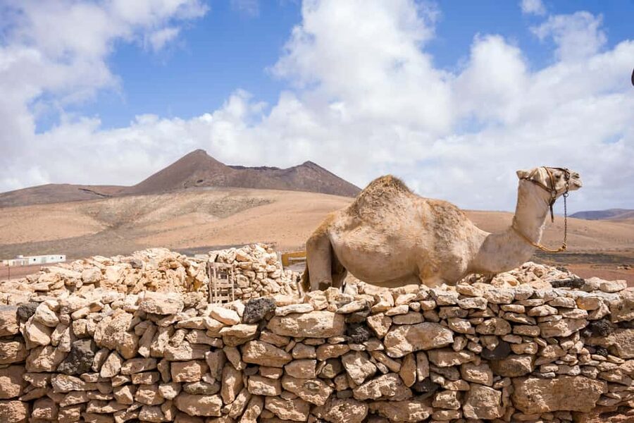 Fuerteventura: volcanic hike to the crater edge - What to wear and pack for the rocks
