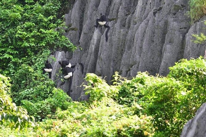 Full-Day Cuc Phuong National Park Hiking Tour - Why Cuc Phuong makes a good Ninh Binh day trip