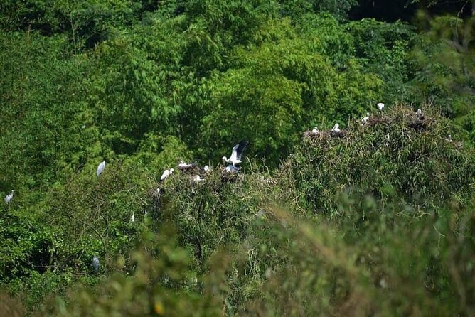 Full-Day Cuc Phuong National Park Hiking Tour - Meeting wildlife at the Primate Rescue Centre