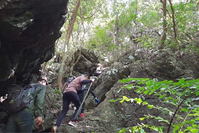 Full-Day Cuc Phuong National Park Hiking Tour - Lunch, park fees, and the real cost