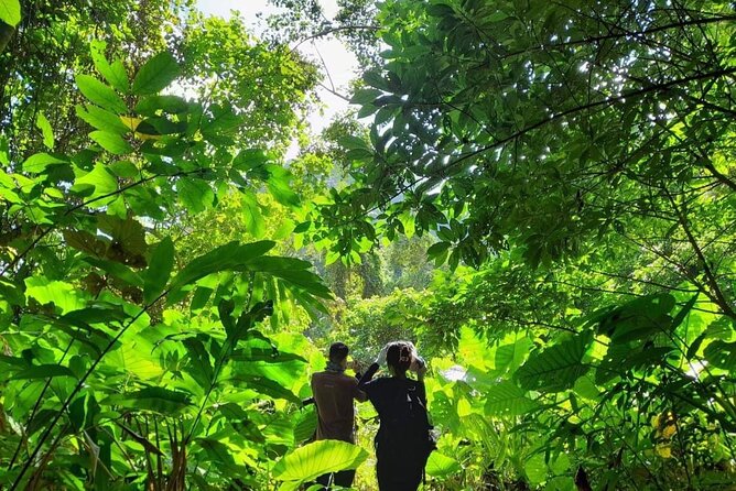 Full-Day Cuc Phuong National Park Hiking Tour - How the guides shape the day
