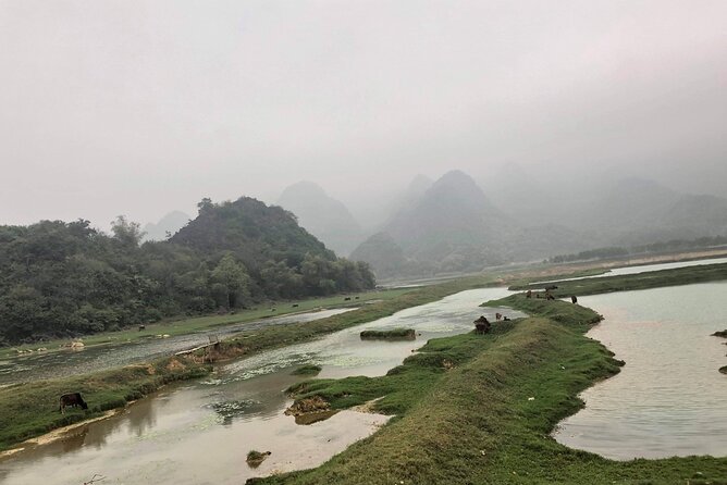 Full-Day Cuc Phuong National Park Hiking Tour - Who will enjoy this tour most