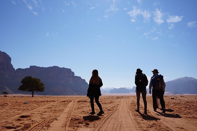 Full Day Desert Tour, Jeep & Hiking - Reading the inscriptions at Jebel Khazali