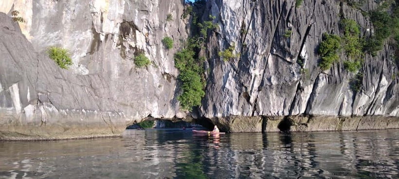 Full day hike - climbing in Jungle of Cat Ba National park - The guide can shape the whole experience