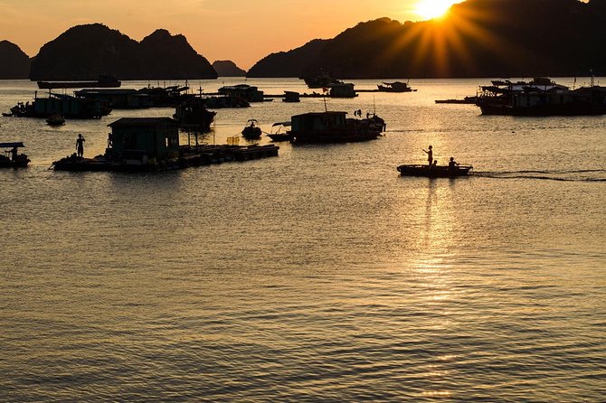 Full day hikes, Cycles, Kayaks & swims in Cat Ba National park - Hiking Cat Ba National Park for Three to Four Hours