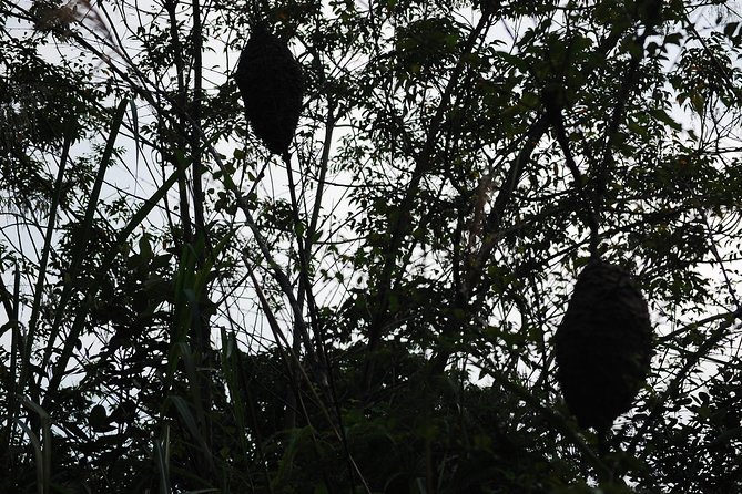 Full day hikes, Cycles, Kayaks & swims in Cat Ba National park - Frog Pond, a Freshwater Stop in the Forest