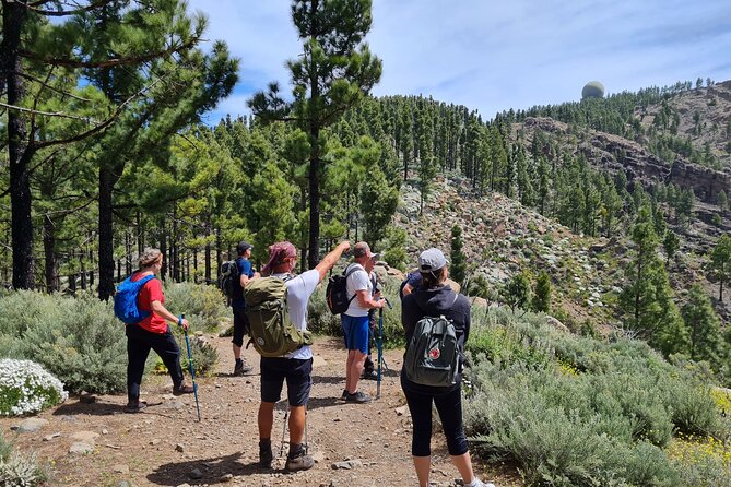 Full day Hiking Gran Canaria Peaks of Gran Canaria - Key points to know before you book