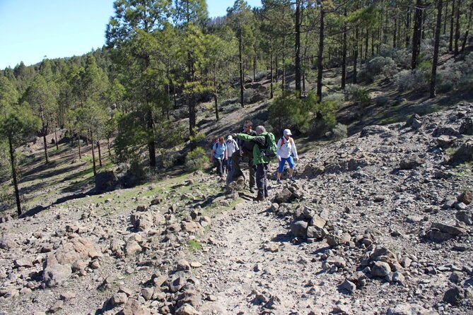 Full day Hiking Gran Canaria Peaks of Gran Canaria - A small group with a personal pace