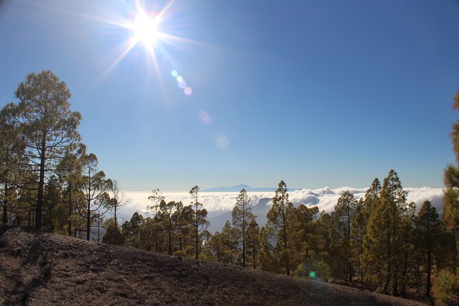 Full day Hiking Gran Canaria Peaks of Gran Canaria - Pickup timing from the southern resorts