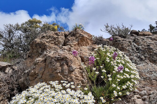 Full day Hiking Gran Canaria Peaks of Gran Canaria - Weather, clothing, and seasonal changes