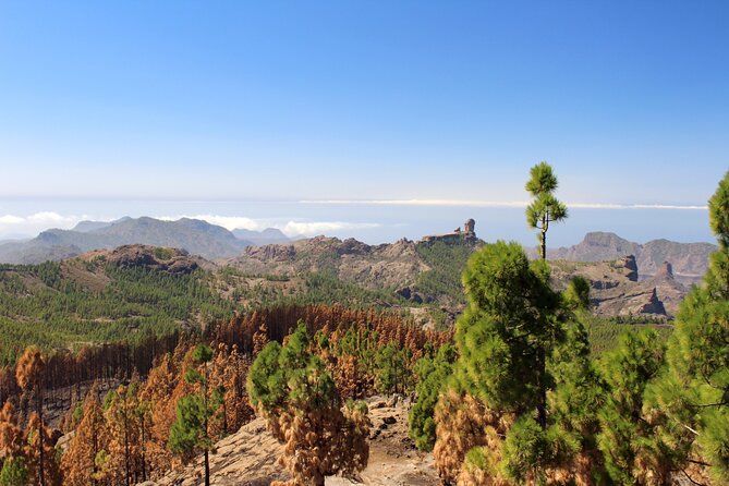 Full day Hiking Gran Canaria Peaks of Gran Canaria - The high points near Pico de las Nieves