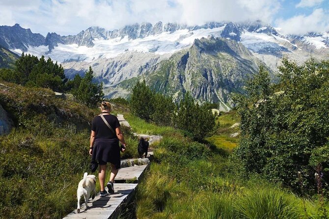 Full-Day Hiking Swiss Alps and Lake swim with Pick-up - A full mountain day from Lucerne