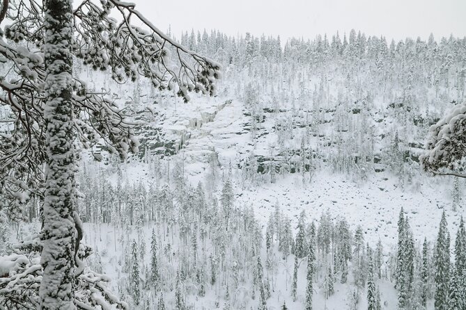 Full Day Hiking to Korouoma Canyon & Frozen Waterfalls - The 90-Minute Drive from Rovaniemi