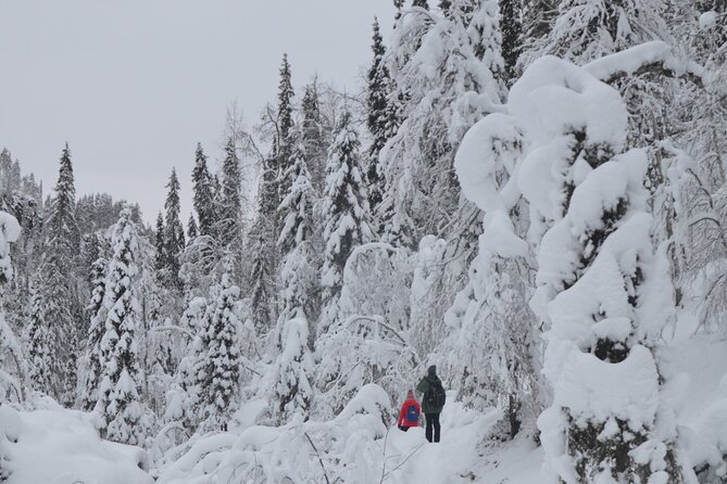 Full Day Hiking to Korouoma Canyon & Frozen Waterfalls - What Your Guide Adds to the Walk