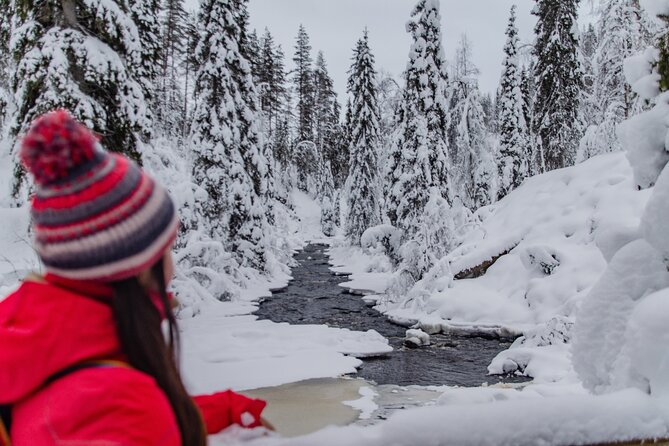 Full Day Hiking to Korouoma Canyon & Frozen Waterfalls - Cold, Fitness, and What to Bring