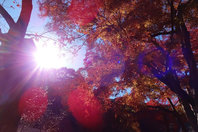 Full Day Hiking Tour at Mt.Takao including Hot Spring - Yakuo-in Temple and the sacred side of the mountain