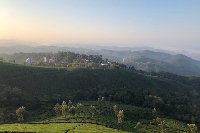 Full day in hiking in Munnar (By Munnar Info) - Four hours among the Kannandevan tea plantations