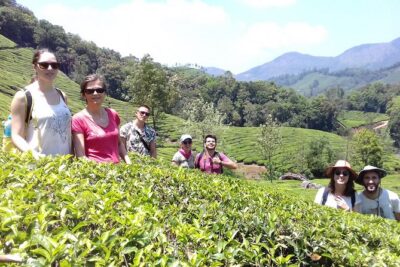 Full day in hiking in Munnar (By Munnar Info)