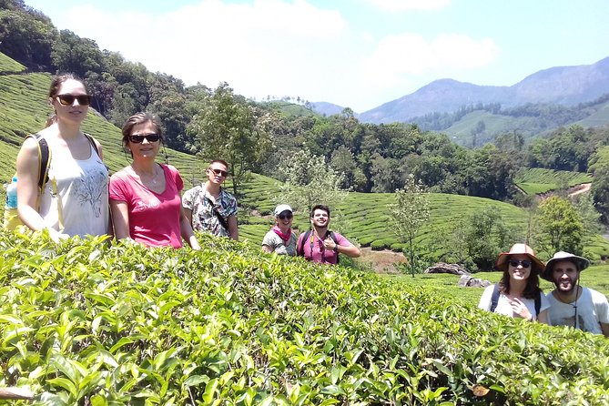 Full day in hiking in Munnar (By Munnar Info) - Forest paths and the Munnar trekking section
