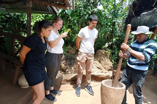 Full Day Materuni Water Falls, Hiking and Coffee Making Tour in Moshi - Key points to know before booking