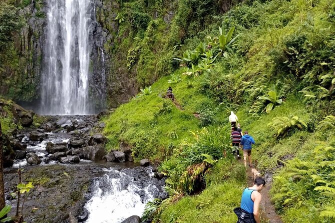 Full Day Materuni Water Falls, Hiking and Coffee Making Tour in Moshi - Chemka hot springs need confirmation