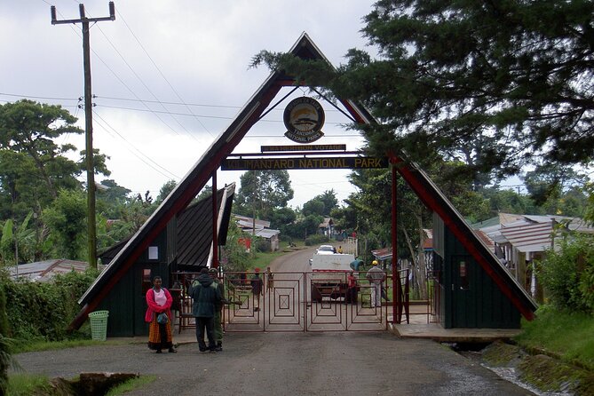 Full Day Private Hiking Tour to Kilimanjaro Mountain - Lunch at Mandara Hut
