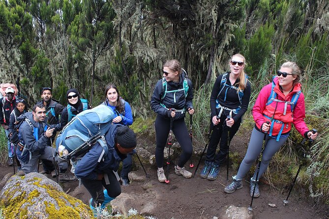 Full Day Private Hiking Tour to Kilimanjaro Mountain - Who should book this experience