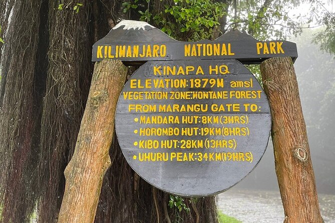 Full Day Private Hiking Tour to Kilimanjaro Mountain - Registration at the gate and the first steps