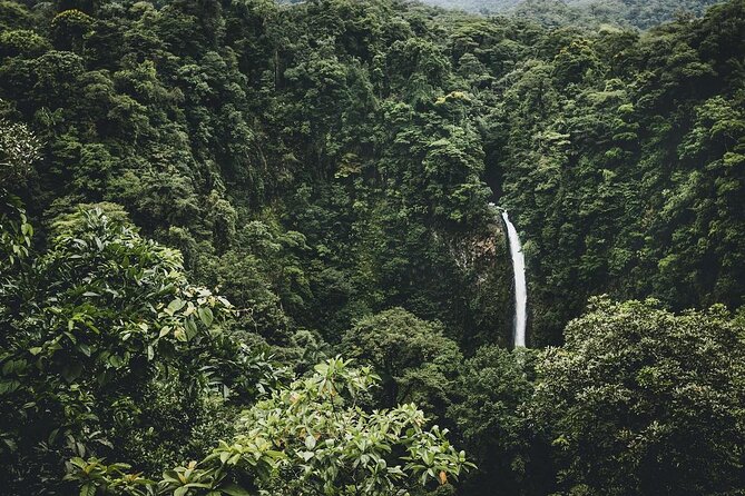 Full Day Tour with Safari Float, Waterfall and Volcano Hike - Key points before you book