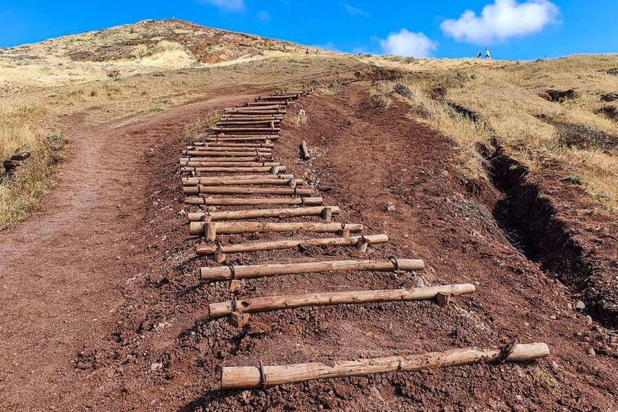 Funchal: Caniçal Ponta São Lourenco Hiking Transfer - Who should book this experience