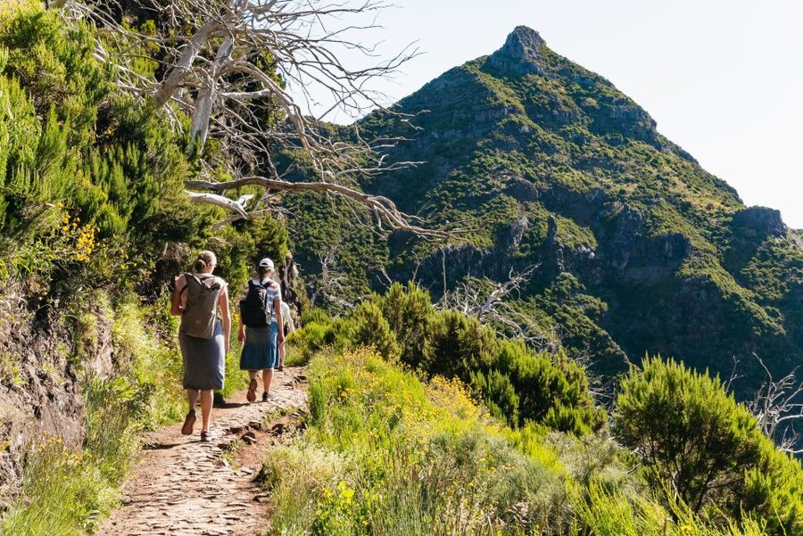Funchal: Pico do Arieiro Sunrise Hiking Transfer - Why this sunrise hike is worth considering