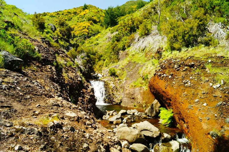 Funchal: Pico do Arieiro Sunrise Plus 2 extra Hiking Trails - What the $33 price really covers
